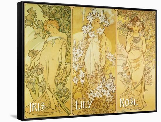 Mucha Iris Lily Rose-null-Framed Stretched Canvas