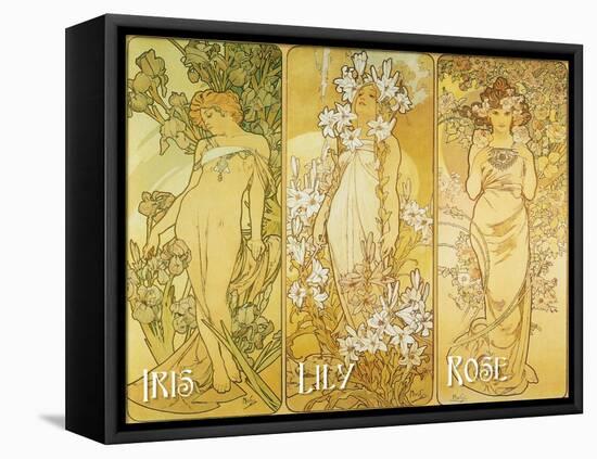 Mucha Iris Lily Rose-null-Framed Stretched Canvas