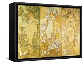 Mucha Iris Lily Rose-null-Framed Stretched Canvas