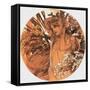 Mucha Spring Medallion-null-Framed Stretched Canvas