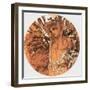 Mucha Spring Medallion-null-Framed Giclee Print