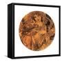 Mucha Summer Medallion-null-Framed Stretched Canvas