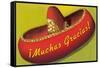 Muchas Gracias, Sombrero-null-Framed Stretched Canvas
