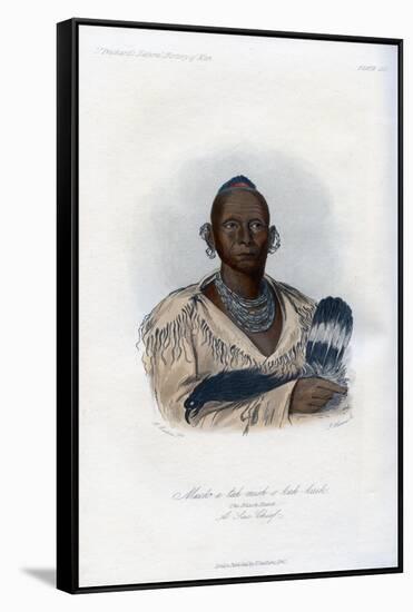 Muck-A-Tah-Mish-O-Kah-Kaik, the Black Hawk, a Sac Chief, 1848-Harris-Framed Stretched Canvas