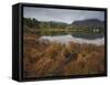 Muckross Lake, Killatney National Park, County Kerry, Munster, Republic of Ireland, Europe-Carsten Krieger-Framed Stretched Canvas