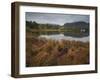 Muckross Lake, Killatney National Park, County Kerry, Munster, Republic of Ireland, Europe-Carsten Krieger-Framed Photographic Print