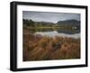 Muckross Lake, Killatney National Park, County Kerry, Munster, Republic of Ireland, Europe-Carsten Krieger-Framed Photographic Print