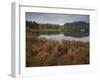 Muckross Lake, Killatney National Park, County Kerry, Munster, Republic of Ireland, Europe-Carsten Krieger-Framed Photographic Print