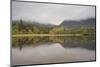 Muckross Lake, Killatney National Park, County Kerry, Munster, Republic of Ireland, Europe-Carsten Krieger-Mounted Photographic Print