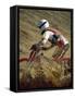 Mud and Motorcyle-null-Framed Stretched Canvas