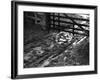 Mud at the Gate-null-Framed Photographic Print