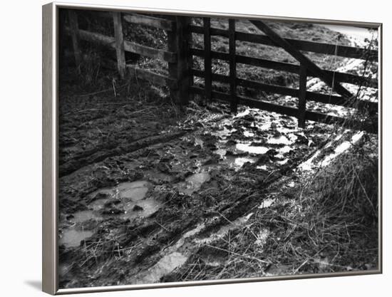 Mud at the Gate-null-Framed Photographic Print