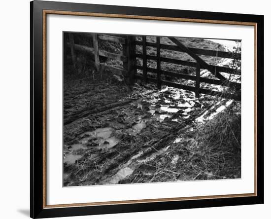 Mud at the Gate-null-Framed Photographic Print