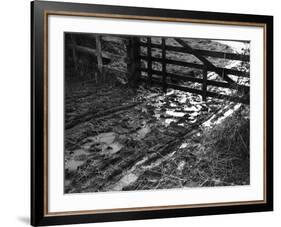 Mud at the Gate-null-Framed Photographic Print