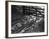 Mud at the Gate-null-Framed Photographic Print