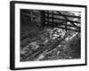 Mud at the Gate-null-Framed Photographic Print