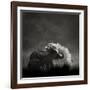 Mud Bath-Ganesh H Shankar-Framed Photographic Print