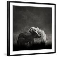 Mud Bath-Ganesh H Shankar-Framed Photographic Print