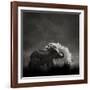 Mud Bath-Ganesh H Shankar-Framed Photographic Print