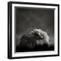 Mud Bath-Ganesh H Shankar-Framed Photographic Print