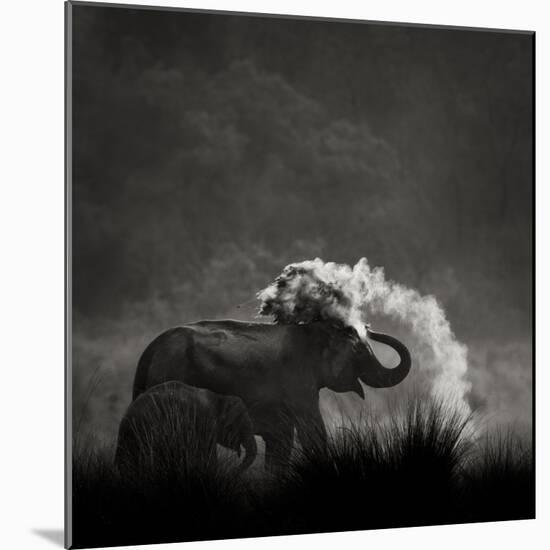 Mud Bath-Ganesh H Shankar-Mounted Photographic Print