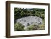 Mud Bubbles in a Mud Field in the Te Puia Maori Cultural Center, Rotorura, North Island-Michael Runkel-Framed Photographic Print