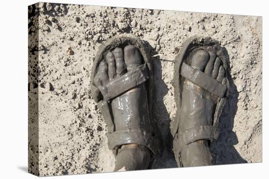 Mud-Covered Feet, Chobe National Park, Botswana-Paul Souders-Stretched Canvas