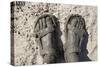 Mud-Covered Feet, Chobe National Park, Botswana-Paul Souders-Stretched Canvas