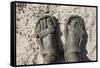 Mud-Covered Feet, Chobe National Park, Botswana-Paul Souders-Framed Stretched Canvas