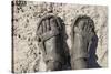 Mud-Covered Feet, Chobe National Park, Botswana-Paul Souders-Stretched Canvas