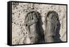 Mud-Covered Feet, Chobe National Park, Botswana-Paul Souders-Framed Stretched Canvas