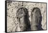 Mud-Covered Feet, Chobe National Park, Botswana-Paul Souders-Framed Stretched Canvas