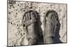 Mud-Covered Feet, Chobe National Park, Botswana-Paul Souders-Mounted Photographic Print