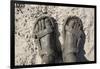 Mud-Covered Feet, Chobe National Park, Botswana-Paul Souders-Framed Photographic Print