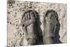 Mud-Covered Feet, Chobe National Park, Botswana-Paul Souders-Mounted Photographic Print
