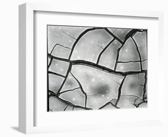 Mud Crack, High Sierra, California, 1960-Brett Weston-Framed Photographic Print