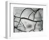 Mud Crack, High Sierra, California, 1960-Brett Weston-Framed Photographic Print