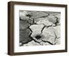 Mud Cracks, 1954-Brett Weston-Framed Photographic Print