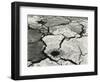 Mud Cracks, 1954-Brett Weston-Framed Photographic Print