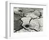 Mud Cracks, 1954-Brett Weston-Framed Photographic Print