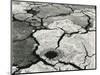 Mud Cracks, 1954-Brett Weston-Mounted Photographic Print
