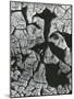 Mud Cracks, 1971-Brett Weston-Mounted Photographic Print
