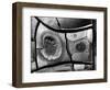 Mud Cracks, 1976-Brett Weston-Framed Photographic Print