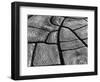 Mud Cracks, 1977-Brett Weston-Framed Photographic Print