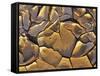 Mud Cracks, Death Valley National Park, California, USA-Chuck Haney-Framed Stretched Canvas