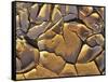 Mud Cracks, Death Valley National Park, California, USA-Chuck Haney-Framed Stretched Canvas