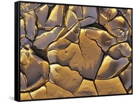 Mud Cracks, Death Valley National Park, California, USA-Chuck Haney-Framed Stretched Canvas