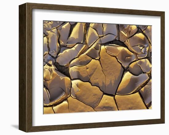 Mud Cracks, Death Valley National Park, California, USA-Chuck Haney-Framed Premium Photographic Print