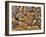 Mud Cracks, Death Valley National Park, California, USA-Chuck Haney-Framed Premium Photographic Print