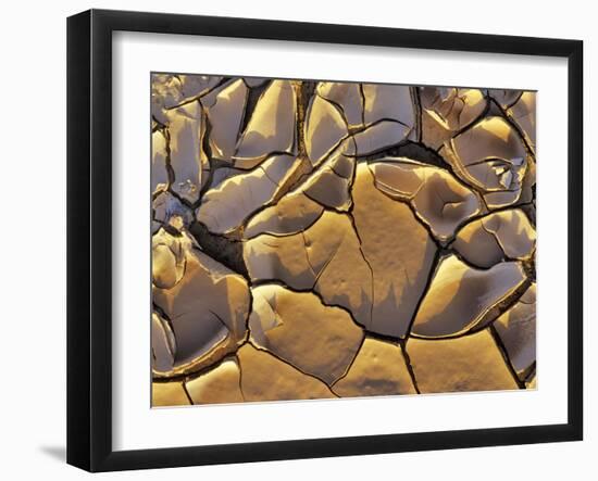 Mud Cracks, Death Valley National Park, California, USA-Chuck Haney-Framed Premium Photographic Print